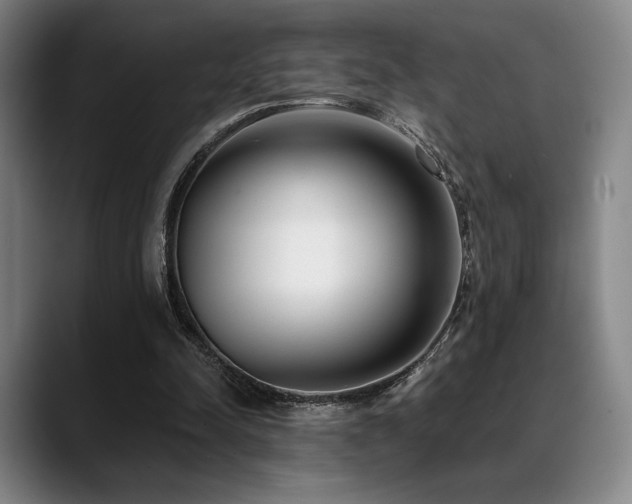 X0000089440342200706151417