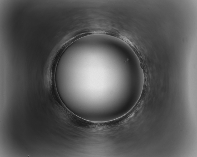 X0000089440343200706151417