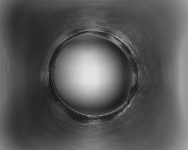 X0000089440344200706151417