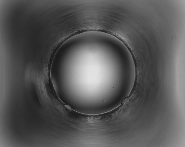 X0000089440345200706151418