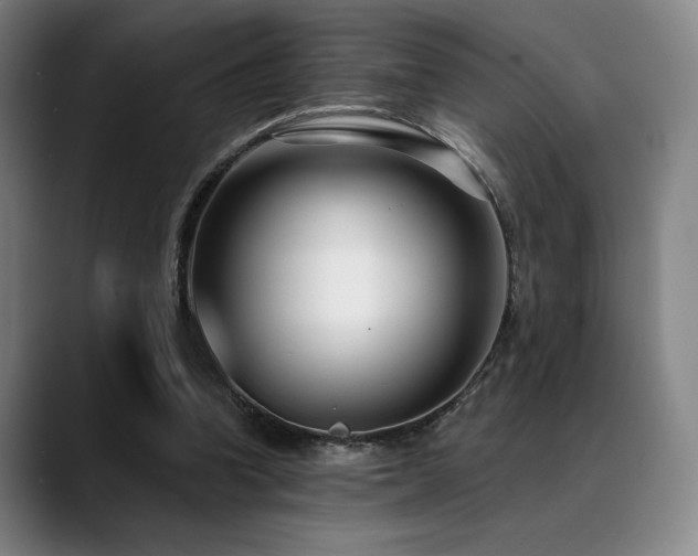 X0000089440346200706151418