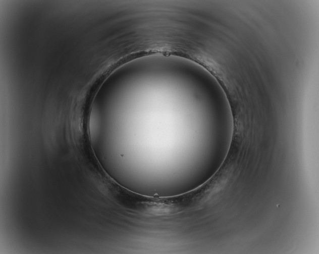 X0000089440347200706151418