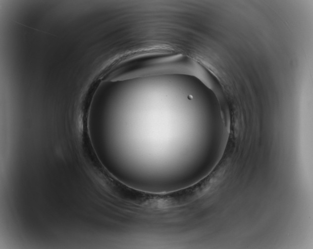 X0000089440350200706151418