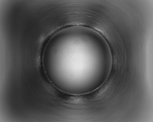 X0000089440351200706151418