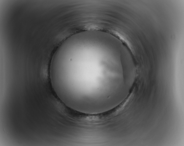 X0000089440353200706151418