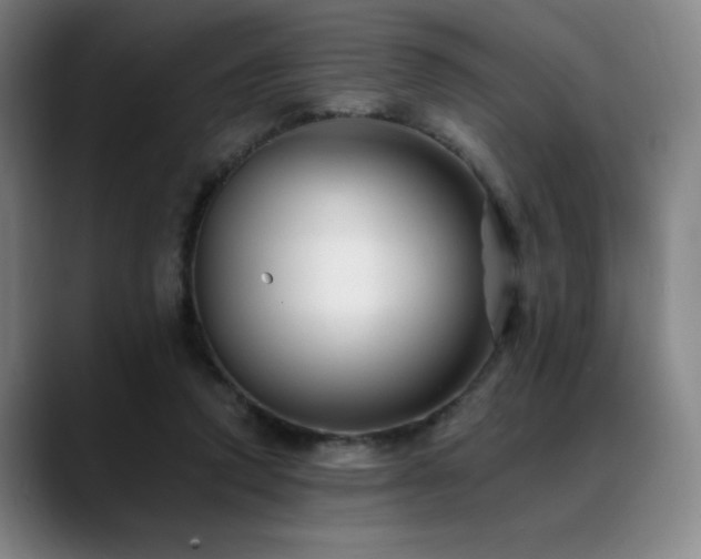 X0000089440354200706151418