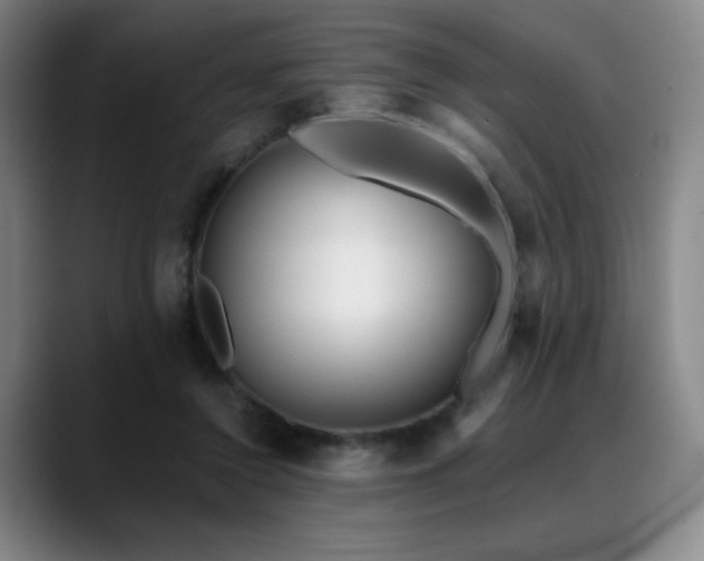 X0000089440356200706151418