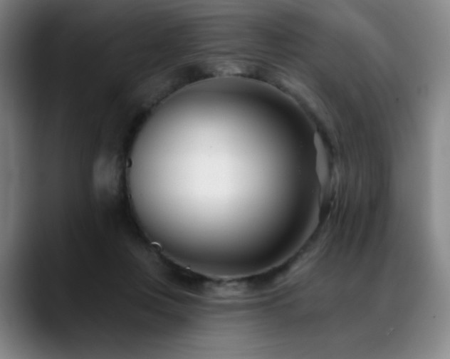 X0000089440359200706151418