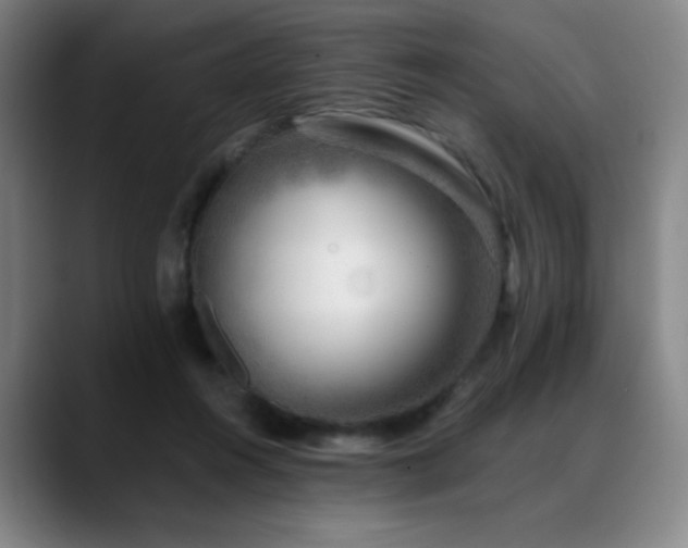 X0000089440360200706151418
