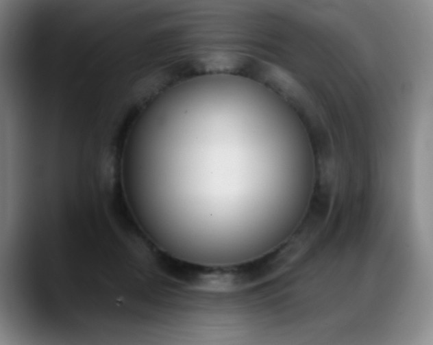 X0000089440362200706151418