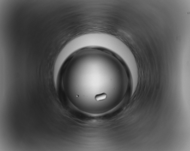 X0000089440364200706151418
