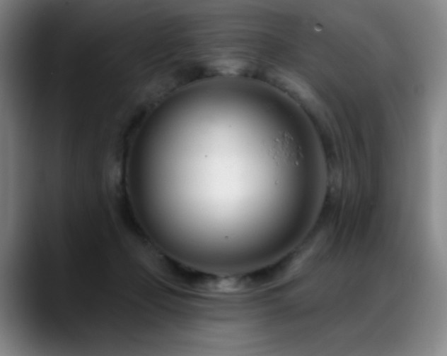 X0000089440365200706151418