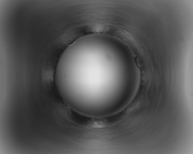 X0000089440368200706151418