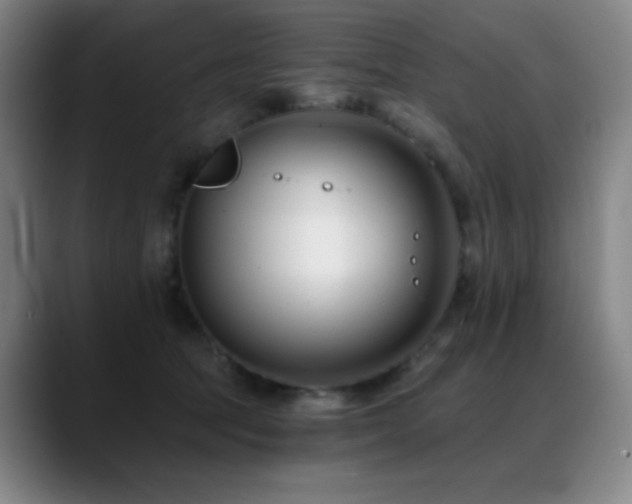X0000089440369200706151418