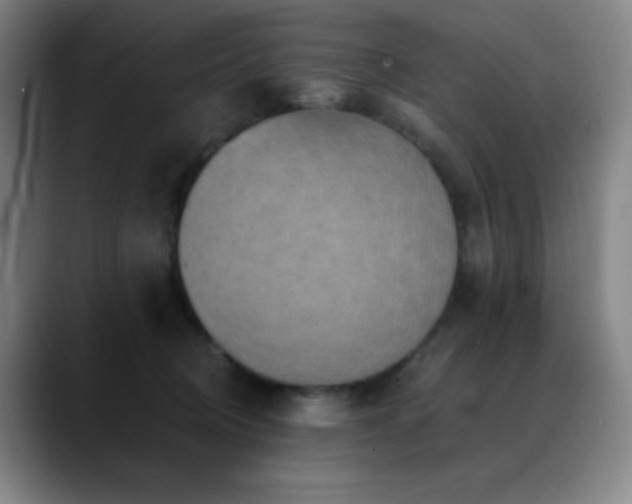 X0000089440370200706151418
