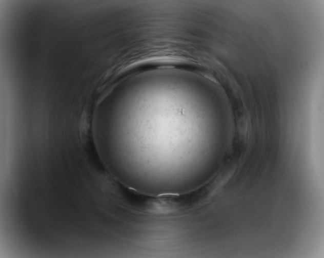 X0000089440372200706151418