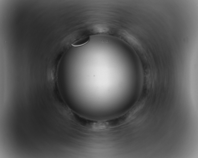 X0000089440373200706151418