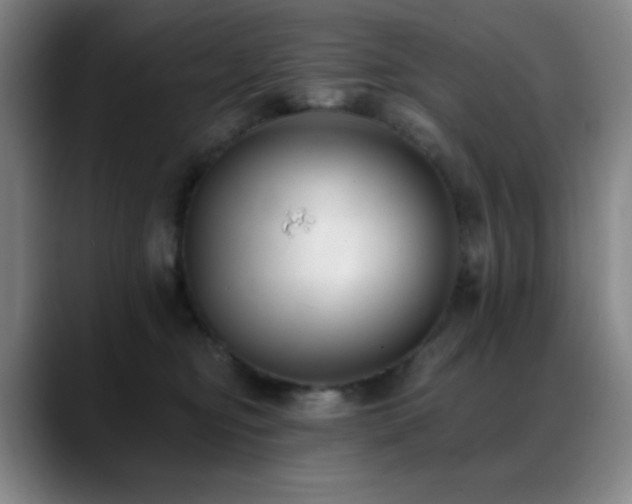 X0000089440374200706151418