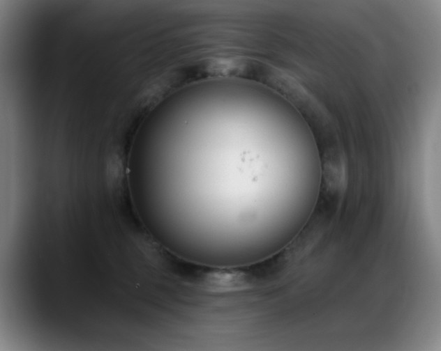 X0000089440375200706151418