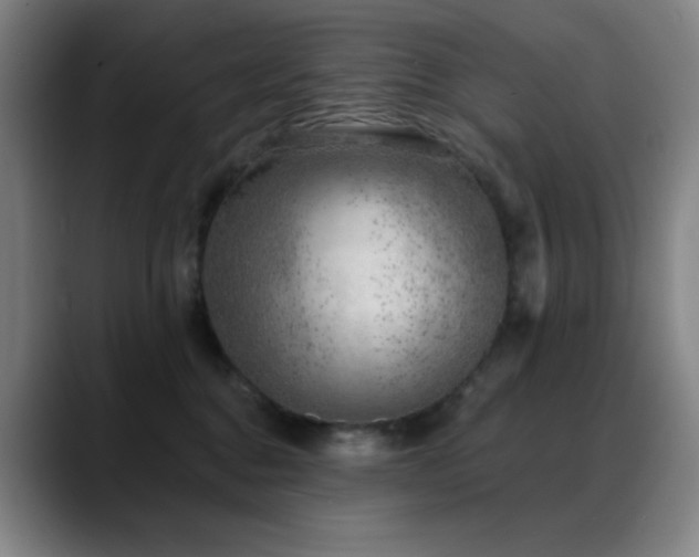 X0000089440376200706151418
