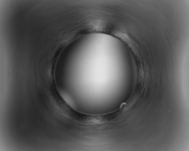 X0000089440377200706151418