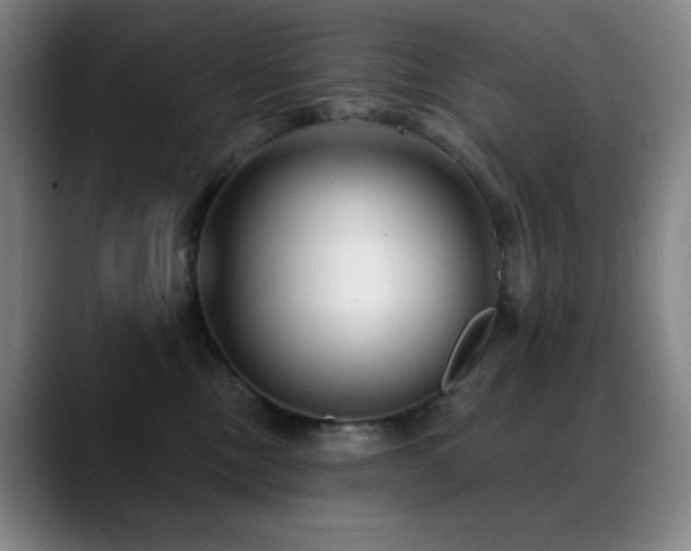 X0000089440378200706151418