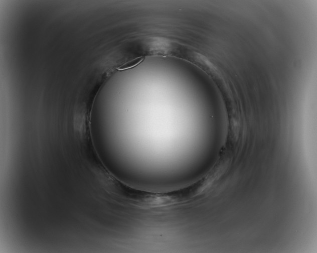 X0000089440379200706151418