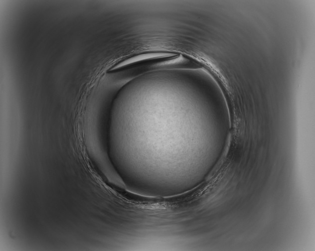 X0000089440385200706151417