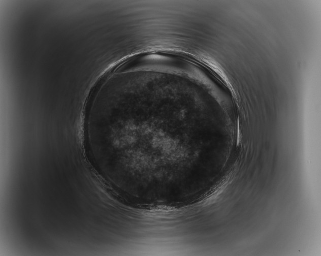 X0000089440387200706151417