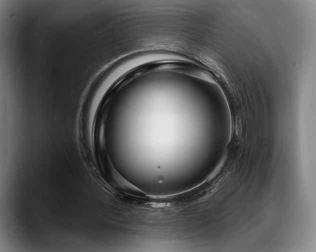 X0000089440388200706151417