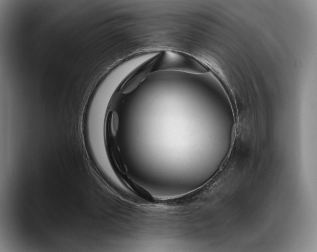 X0000089440389200706151417