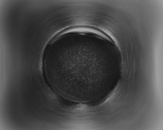 X0000089440391200706151417