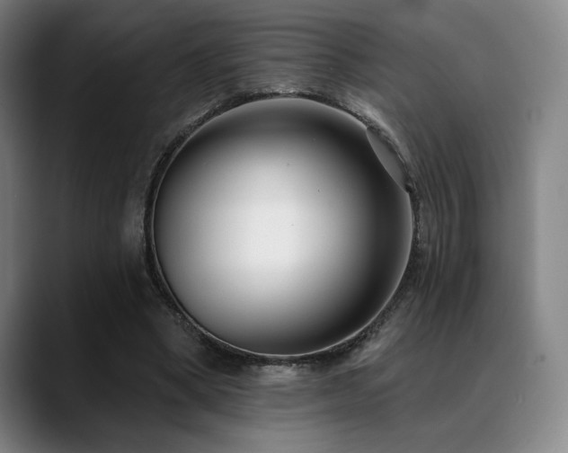 X0000089440394200706151417