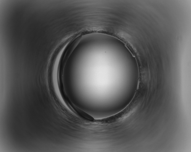 X0000089440395200706151417