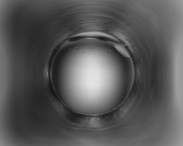 X0000089440398200706151417
