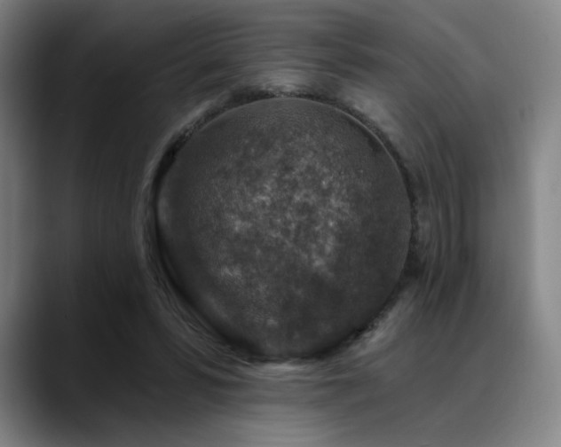 X0000089440399200706151417
