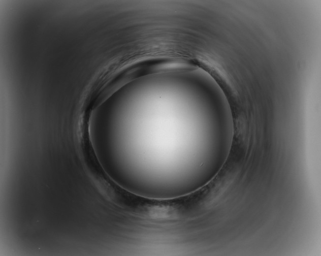 X0000089440400200706151417