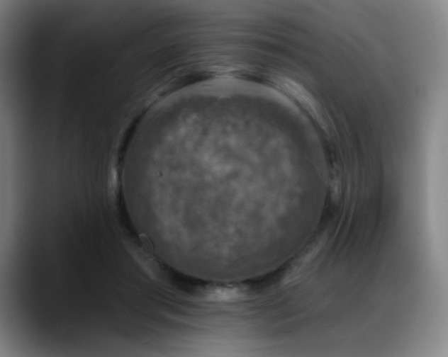 X0000089440405200706151417