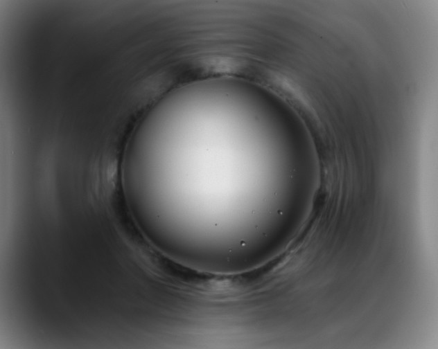 X0000089440406200706151417