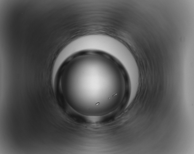 X0000089440411200706151417
