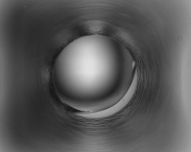 X0000089440412200706151417