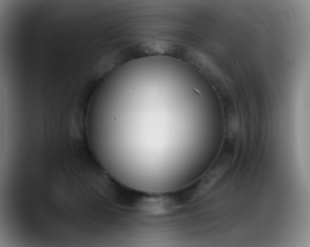 X0000089440414200706151417
