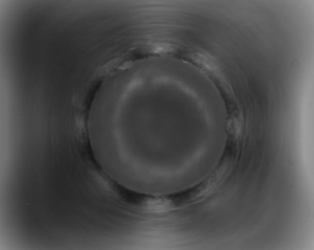 X0000089440415200706151417