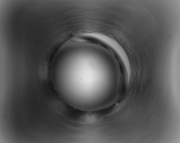 X0000089440416200706151417