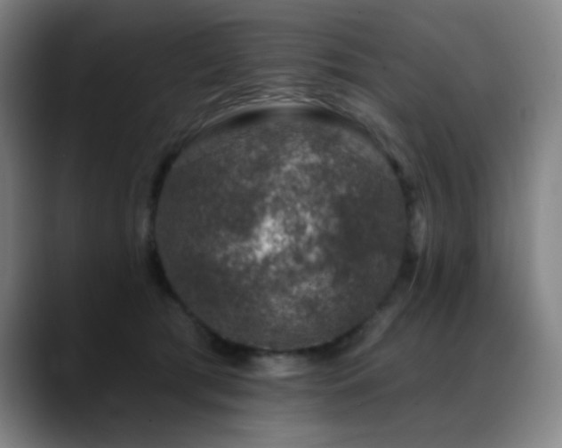 X0000089440417200706151417