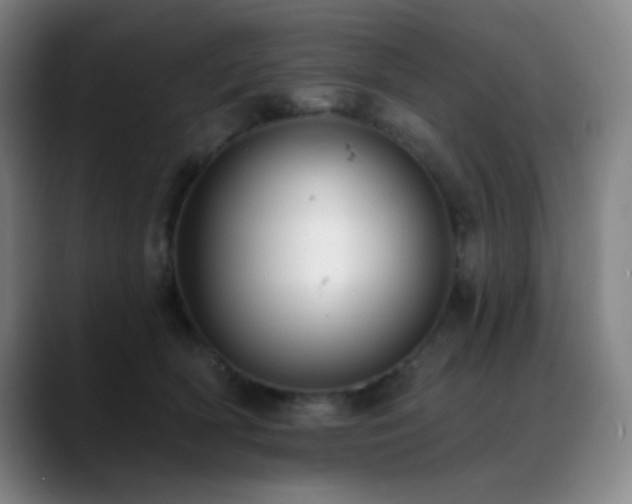 X0000089440418200706151417