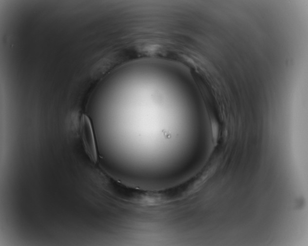 X0000089440420200706151417