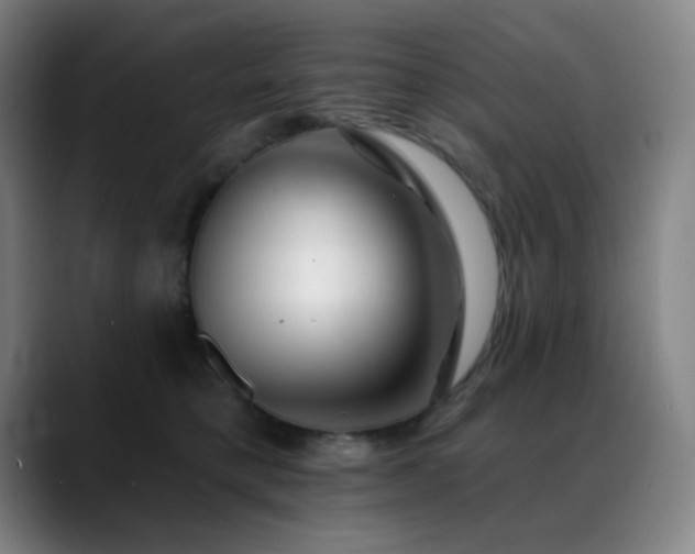 X0000089440421200706151417