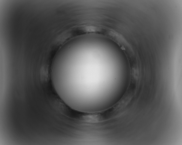 X0000089440422200706151417