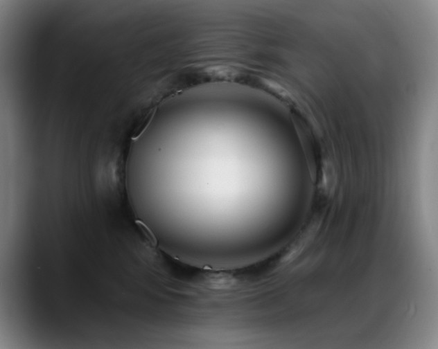 X0000089440424200706151417